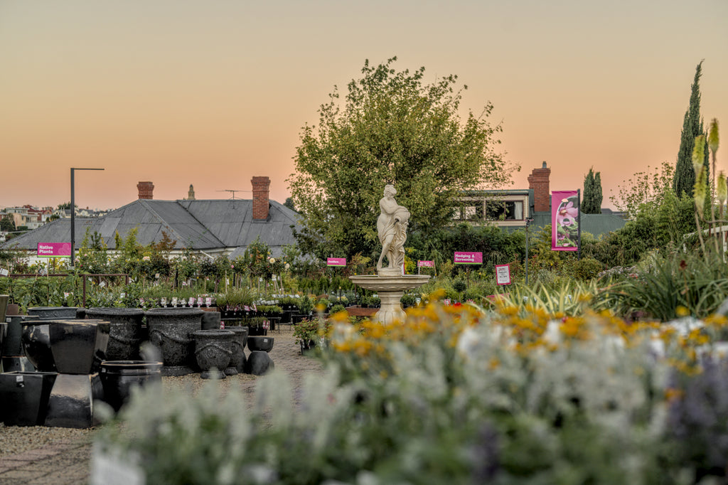 Autumn Gardening Guide